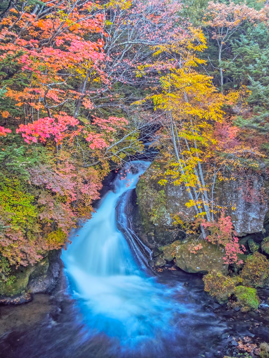 投稿写真：紅葉の竜頭の滝