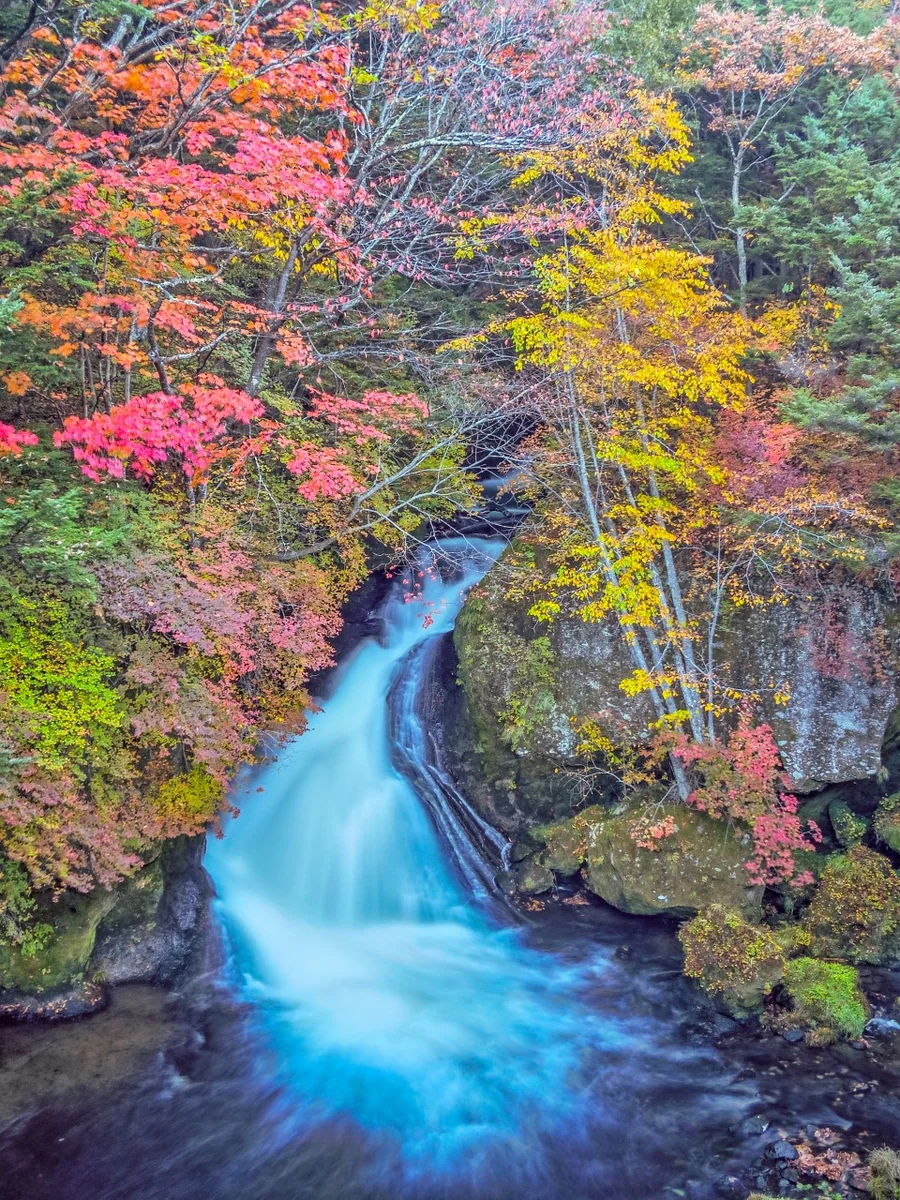 投稿写真：紅葉の竜頭の滝
