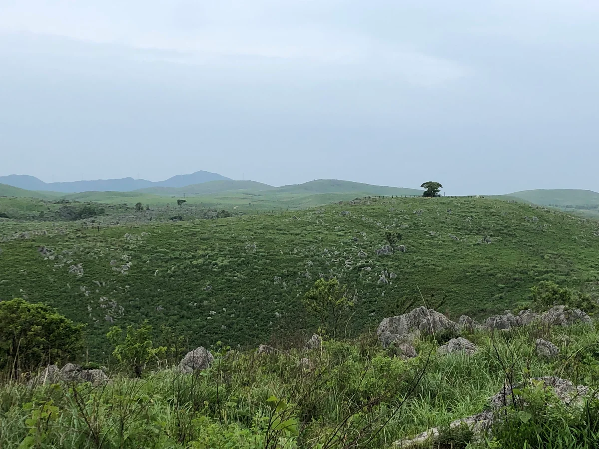 投稿写真：秋吉台