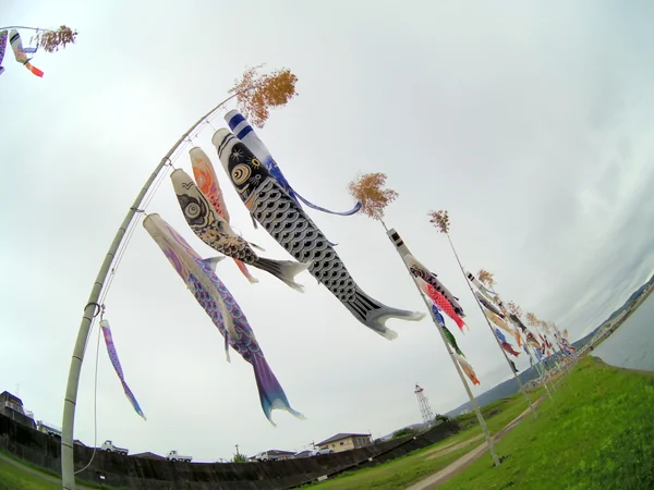 投稿：こいのぼり