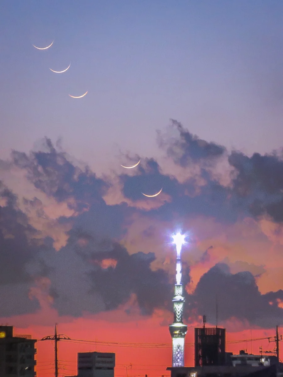 投稿写真：スカイツリー目指して沈む二日月