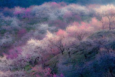  | 絶景事典