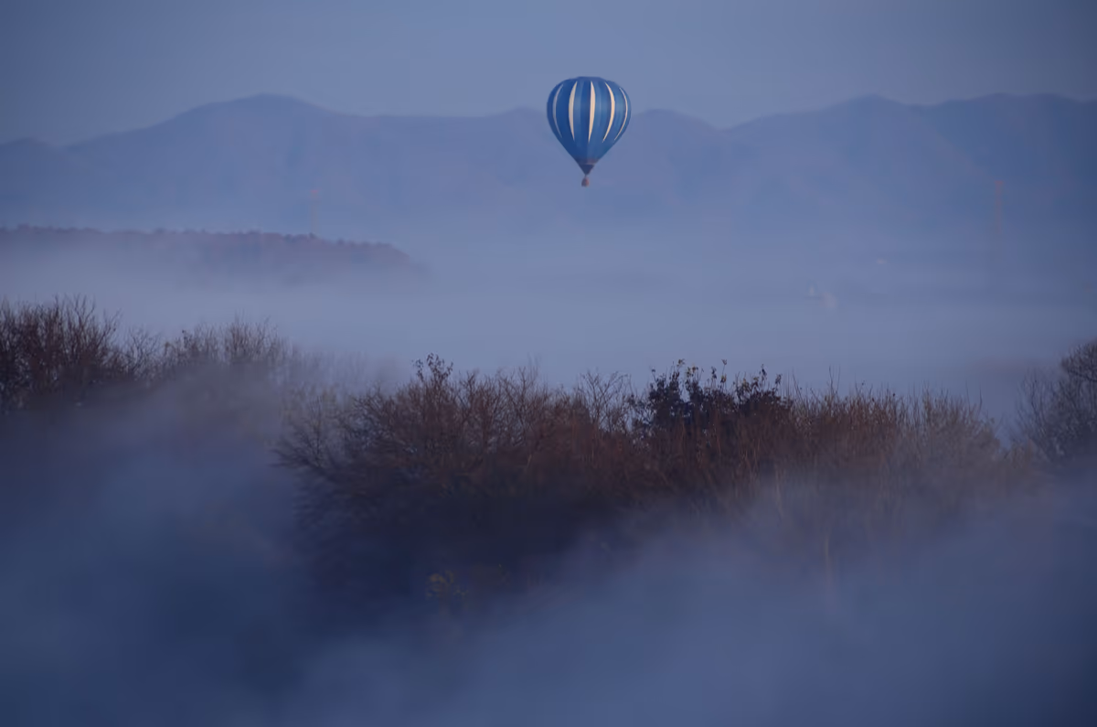 投稿写真：霧の上の飛翔