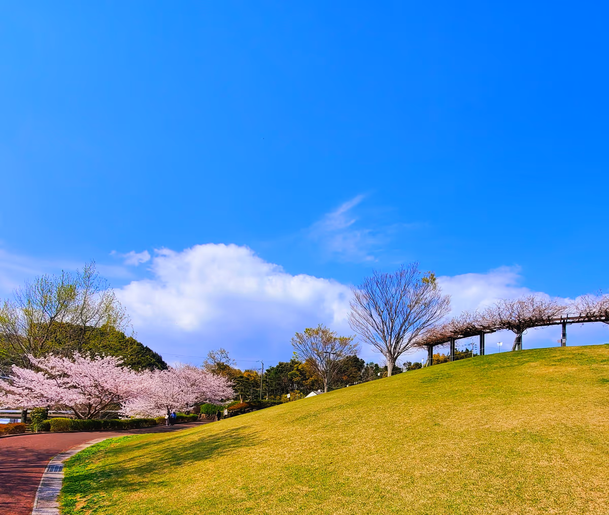 投稿写真：のぞみ公園