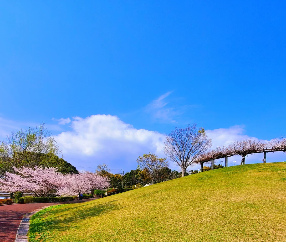投稿写真：のぞみ公園