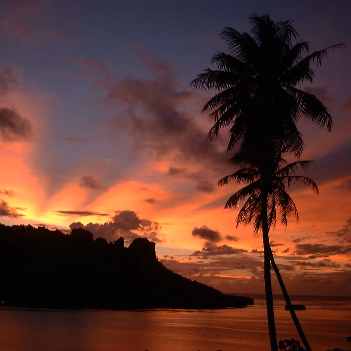 投稿写真：ミクロネシアの夕陽