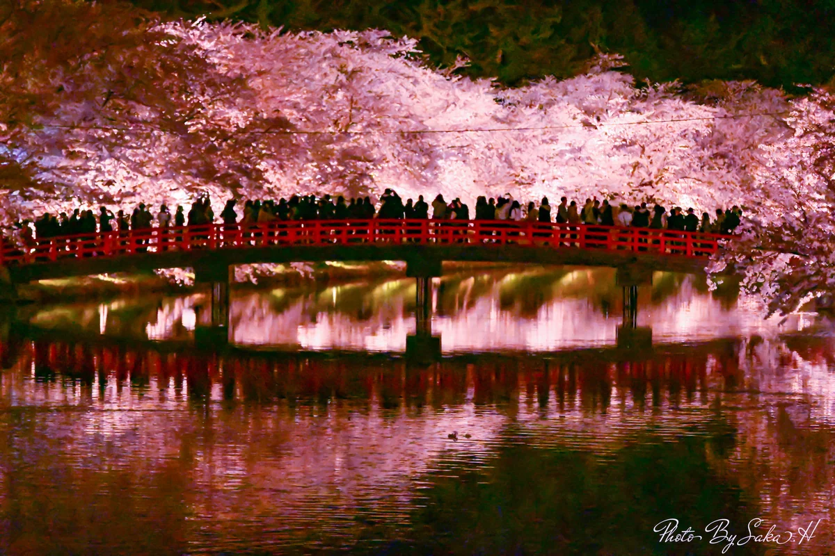 投稿写真：みちのくの春