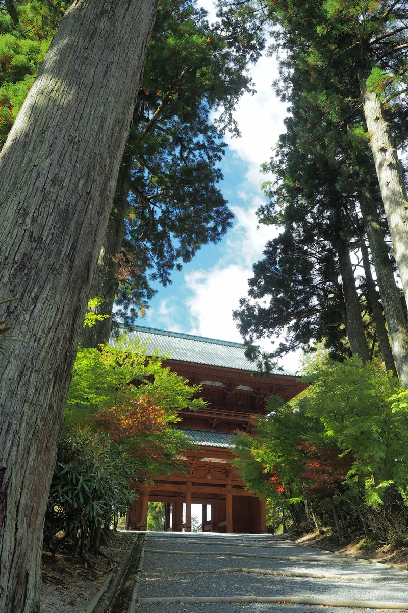 投稿写真：高野山大門