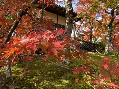  | 絶景事典
