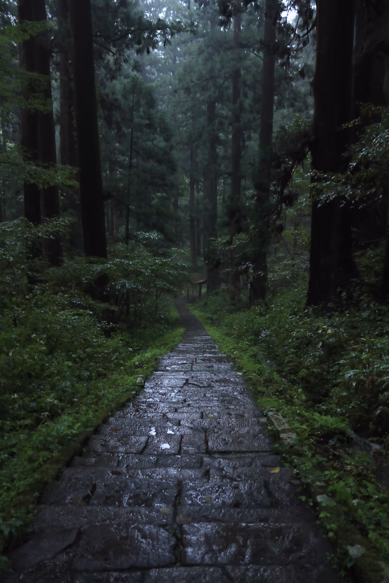 投稿写真：継子坂