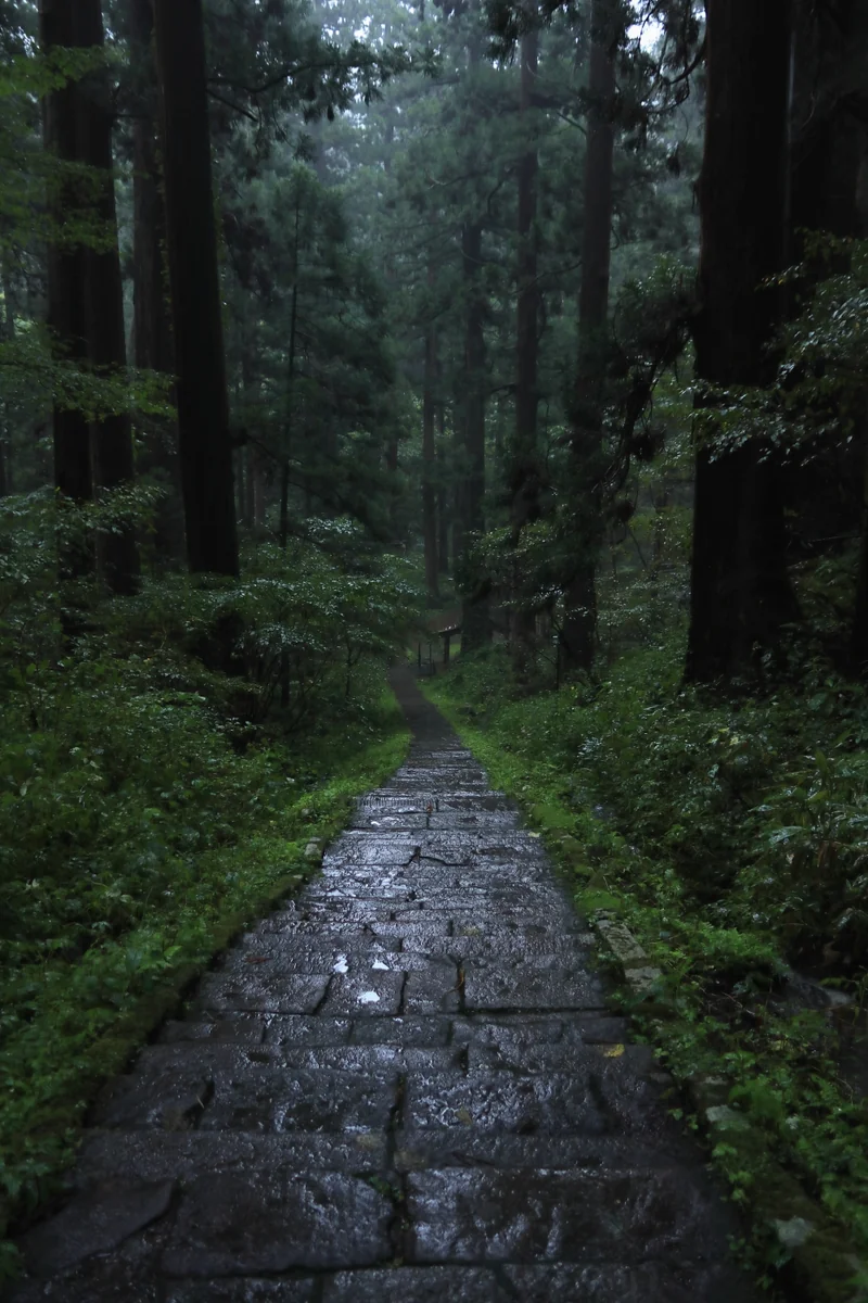 投稿写真：継子坂