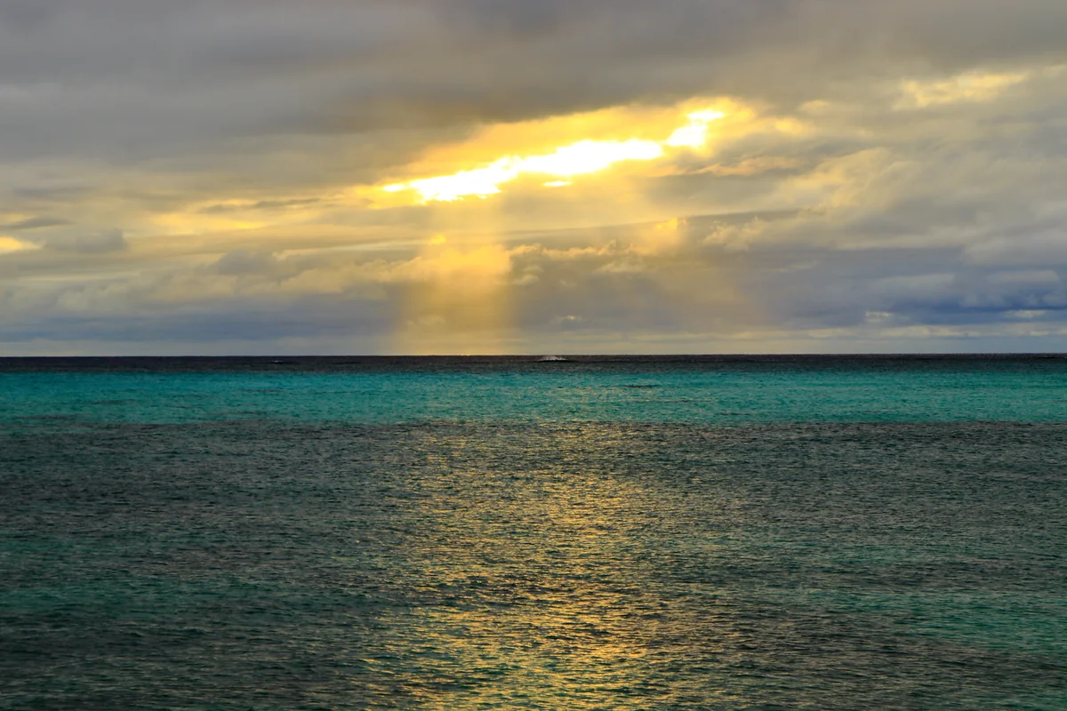 投稿写真：光差す 17end