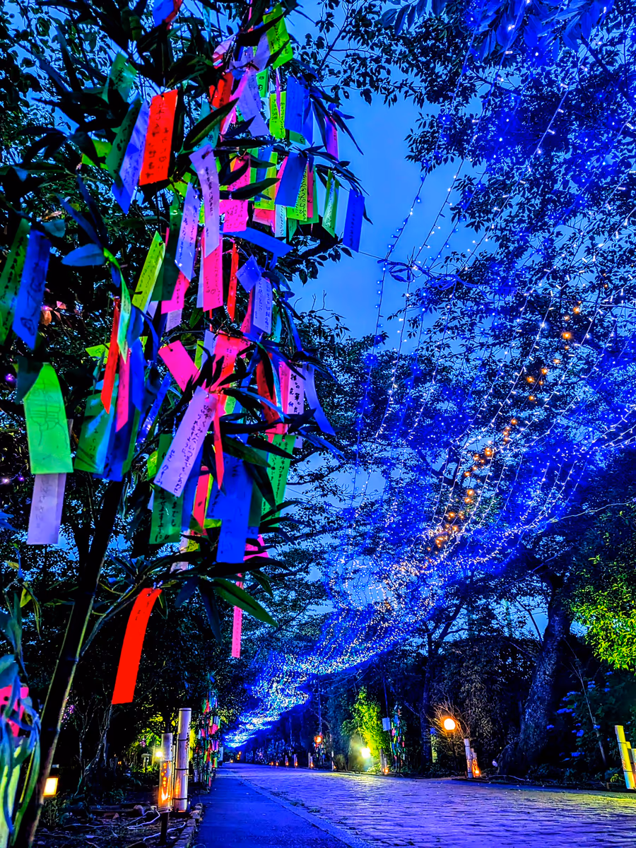 投稿写真：銀河のトンネル天の川🎋🌌✨
