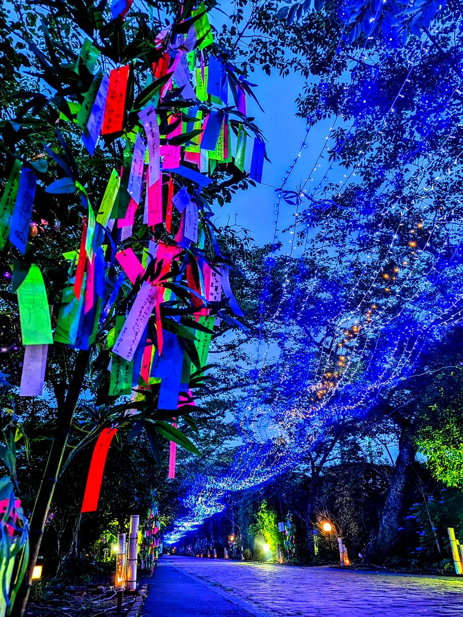 投稿写真：銀河のトンネル天の川🎋🌌✨