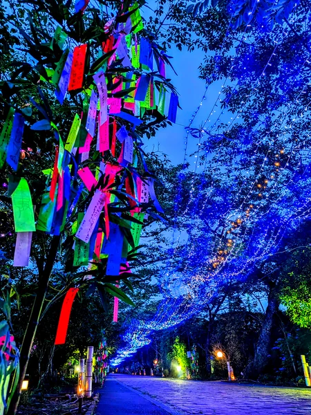 投稿：銀河のトンネル天の川🎋🌌✨