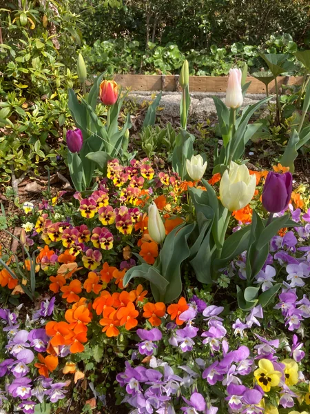 投稿：横浜金沢自然園