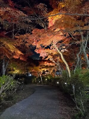  | 絶景事典