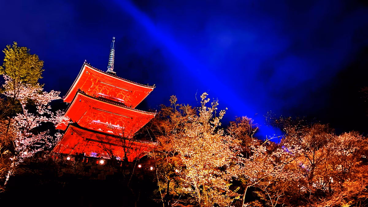 投稿写真：夜桜🌸と清水寺 三重塔