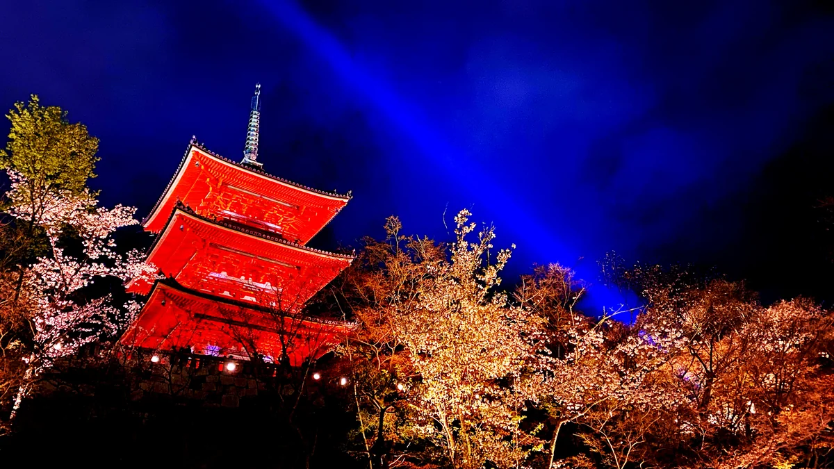 投稿写真：夜桜🌸と清水寺 三重塔