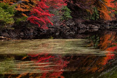  | 絶景事典