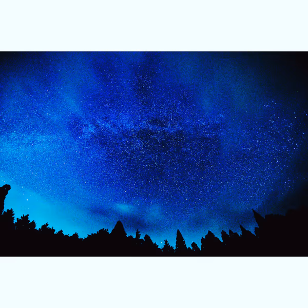 投稿：茶臼山高原の星空