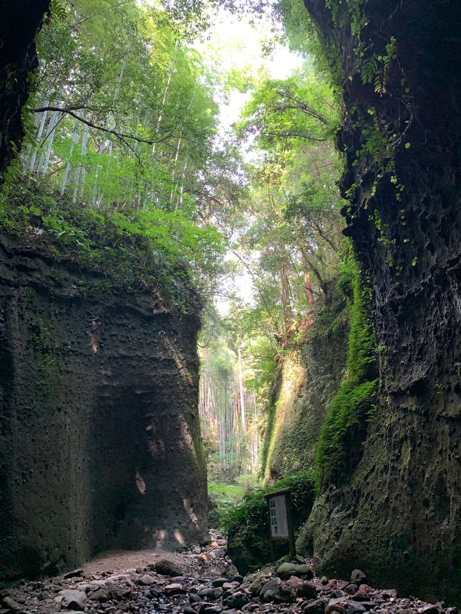 投稿写真：『伊尾木洞』の世界