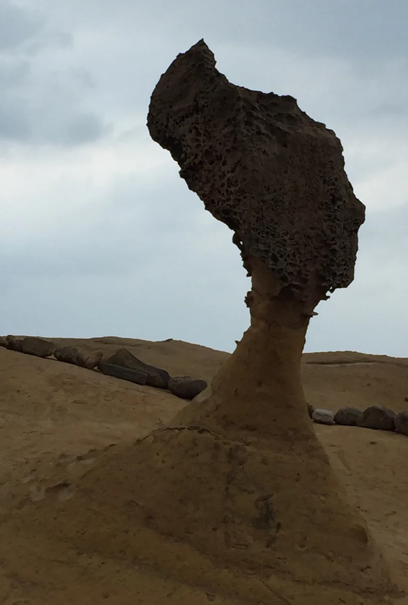 投稿写真：女王の頭