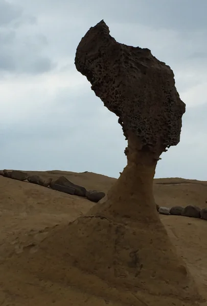 投稿：女王の頭