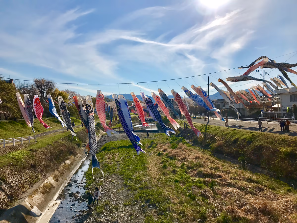 投稿写真：浅川の鯉のぼり