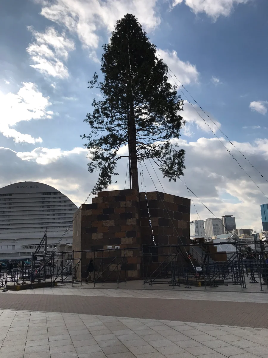 投稿写真：神戸 クリスマスツリー