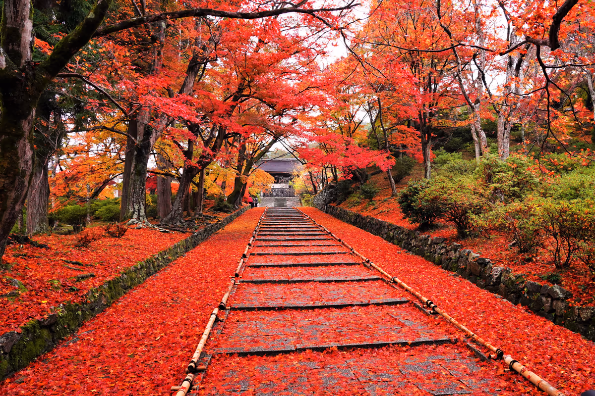 投稿写真：紅葉毘沙門堂