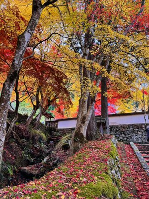  | 絶景事典