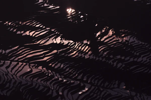 投稿：元陽の棚田