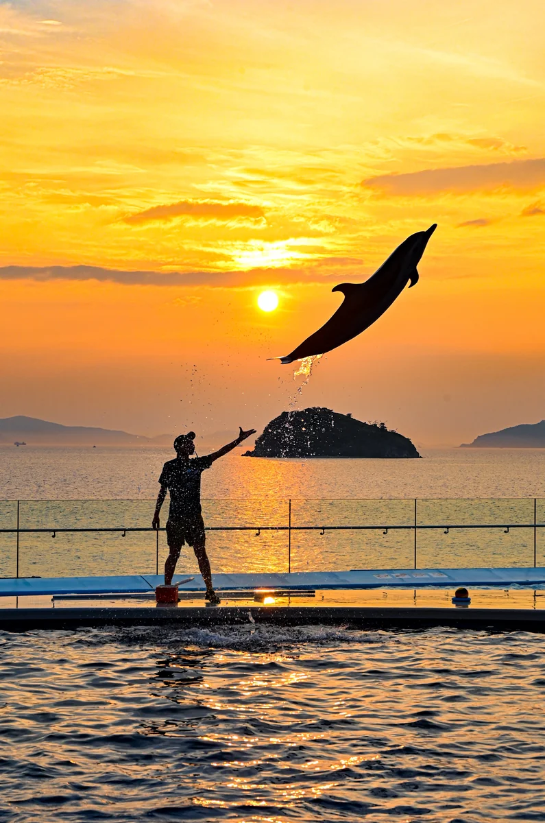 投稿写真：四国水族館