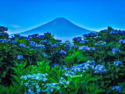  | 絶景事典