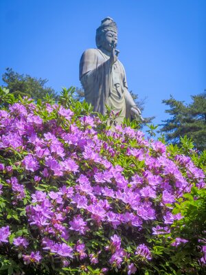  | 絶景事典