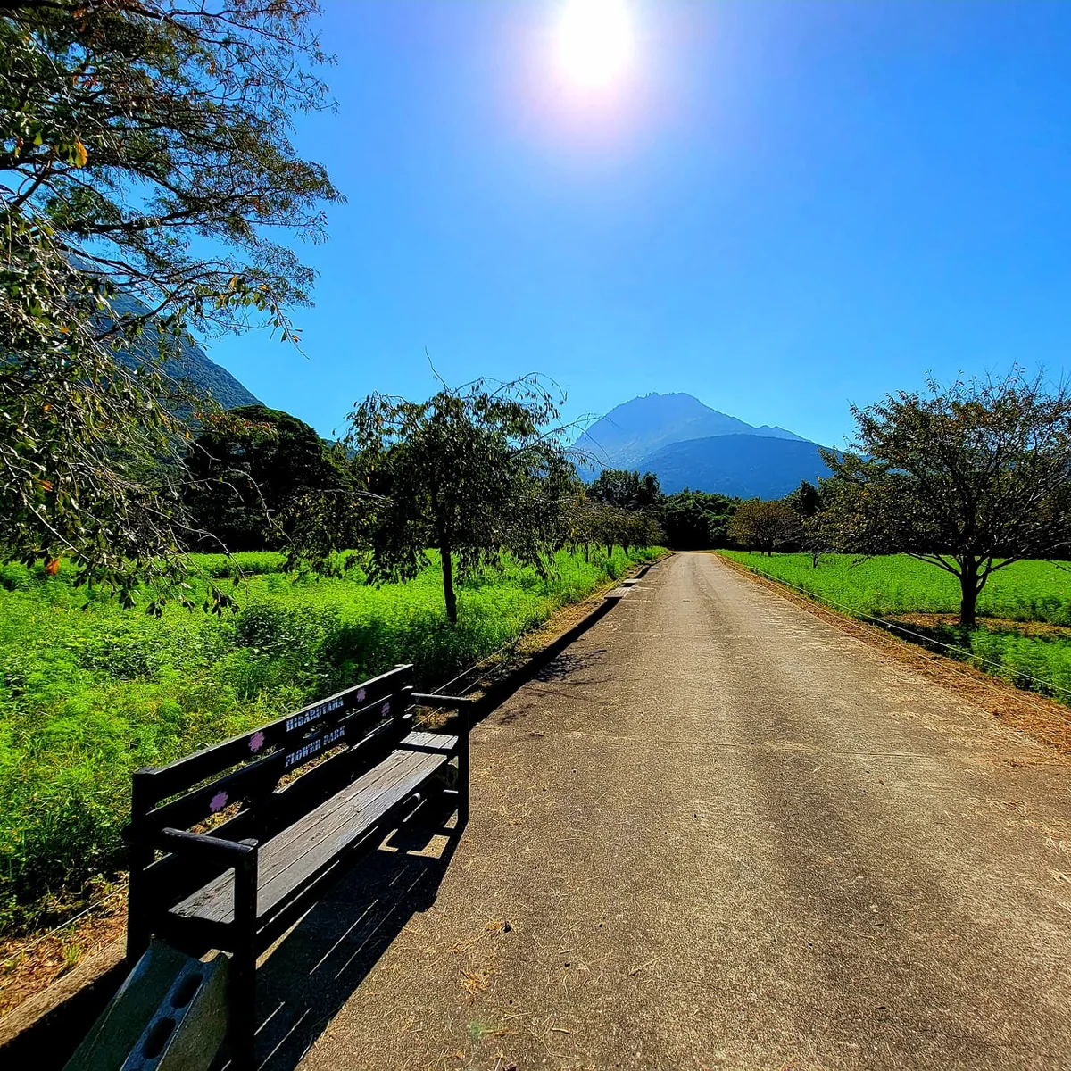 投稿写真：ベンチに座って