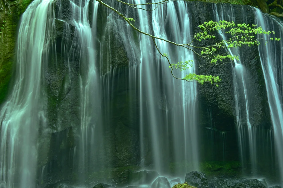 投稿写真：達沢不動滝