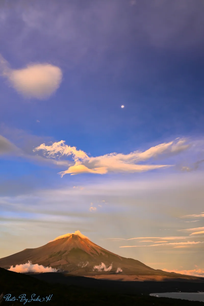 投稿写真：大空にはばたけ！