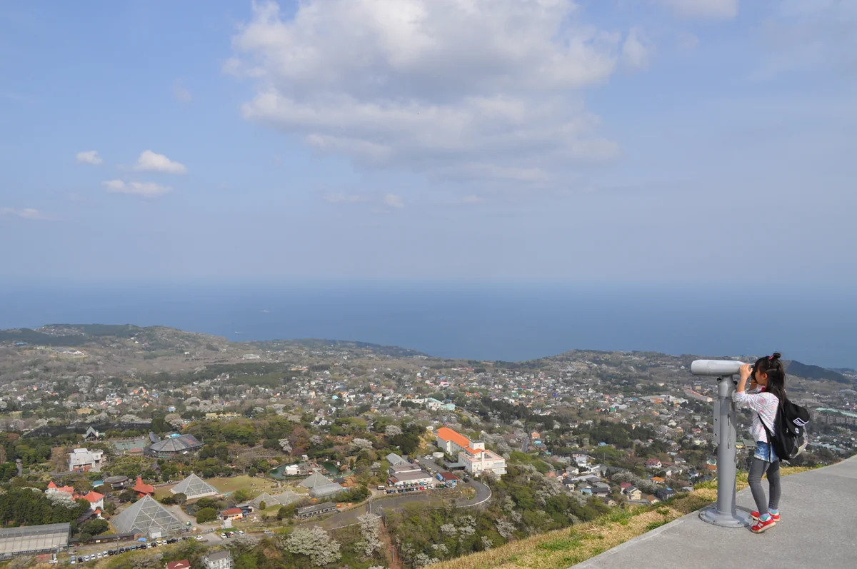 投稿写真：望遠鏡で見えるものは