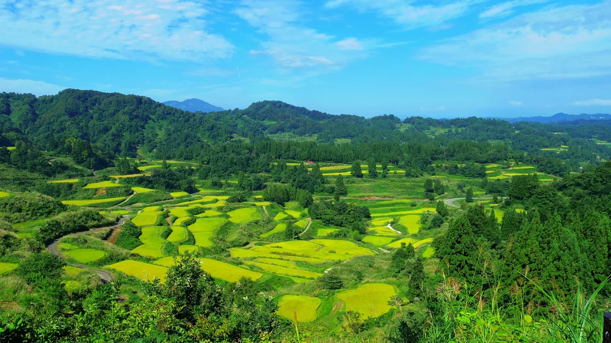投稿写真：晩夏の星峠の棚田