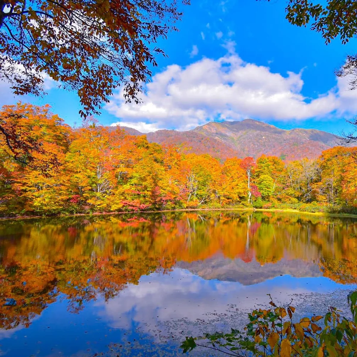 投稿写真：刈込池