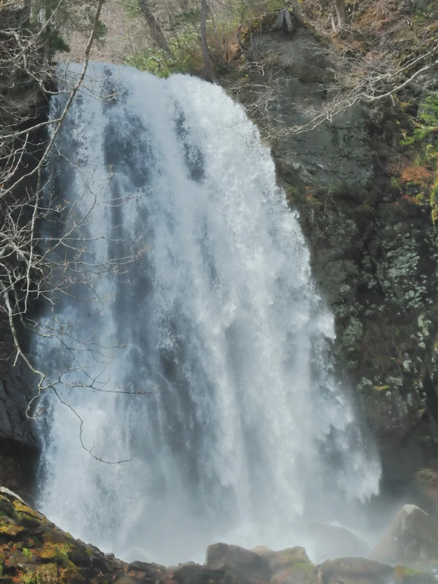投稿写真：怒涛の落水