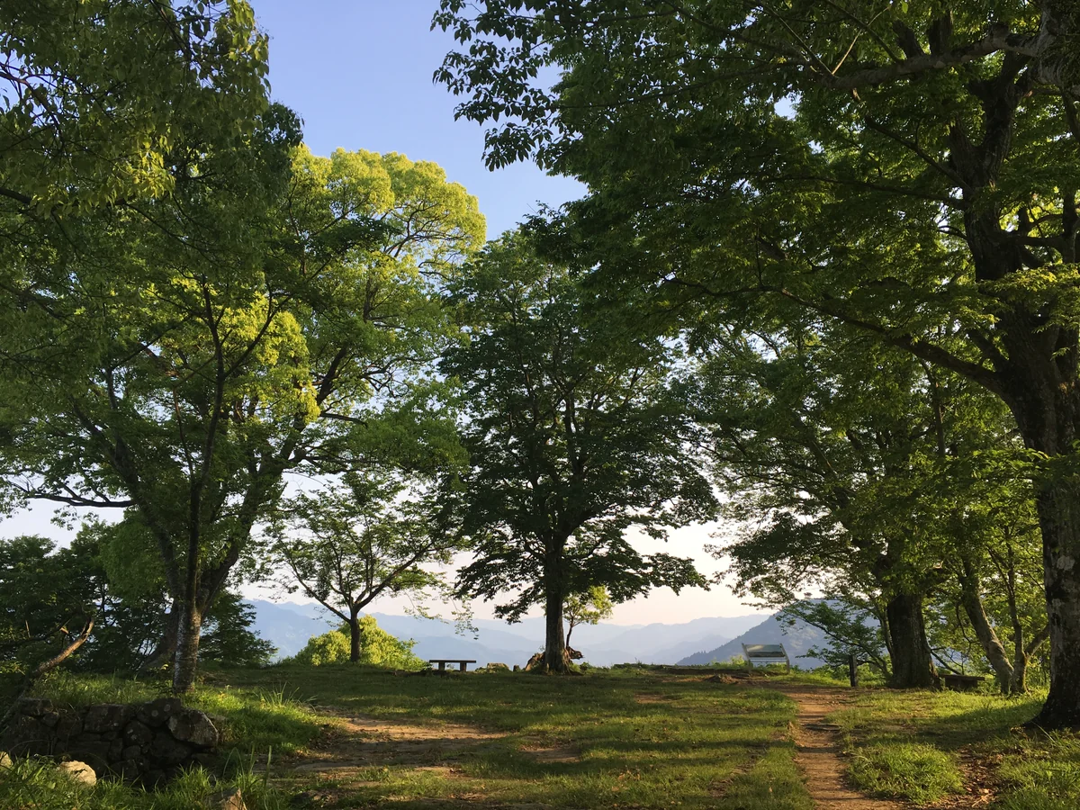 投稿写真：佐伯城