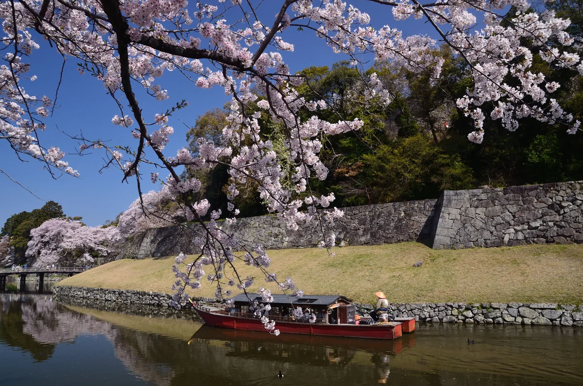 投稿写真：彦根城　春日向のお濠巡り