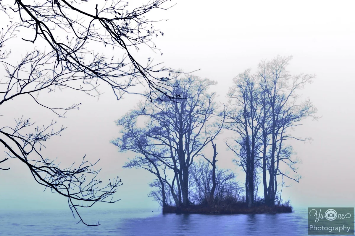投稿写真：福島県会津の湖畔