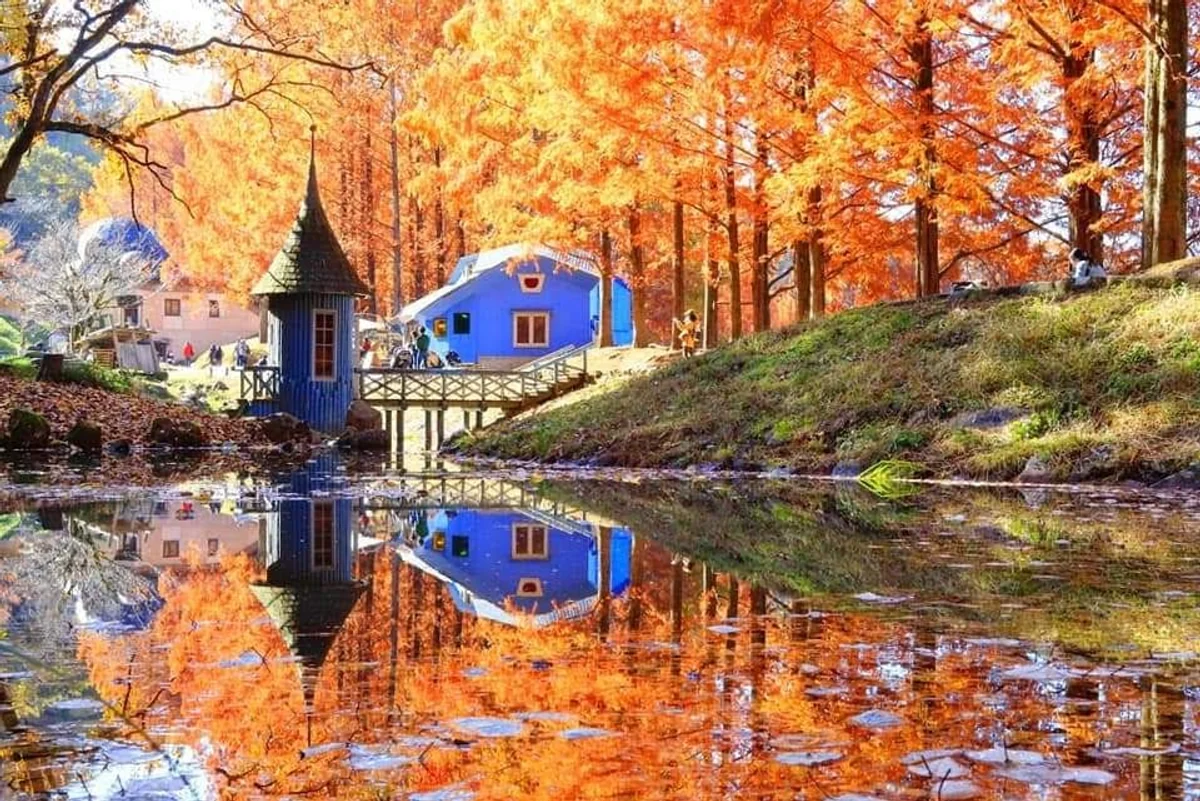 おくちゃんさんの投稿写真