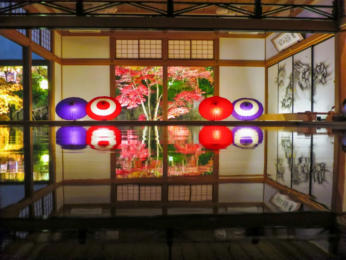 投稿写真：もみじと和傘のリフレクション