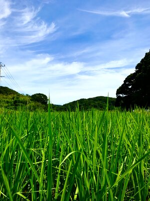  | 絶景事典