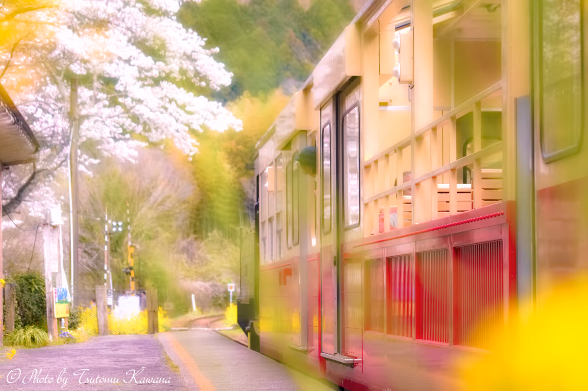 投稿写真：春色に包まれた停車時間♪